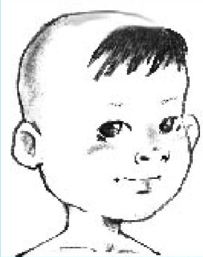 何满子